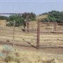Lane Ranch & Co.