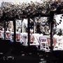 Orfila Winery
