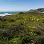 Estero Bluffs State Park (SP)