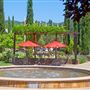 Sebastiani Winery