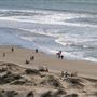 Sunset State Beach (SB)