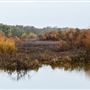 Delta Meadows Park Property