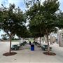 Veterans Park - City of Carson