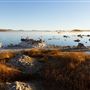 Mono Lake Tufa State Natural Reserve (SNR) / South Tufa Lake - Inyo National Forest (NF)