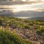 Fort Ord National Monument