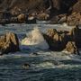 Garrapata State Park (SP)
