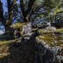 Fremont Peak State Park (SP)