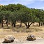 Lake Del Valle State Recreation Area (SRA) - East Bay Regional Park District