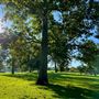 William R. Mason Regional Park