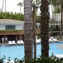 Hollywood Roosevelt, The