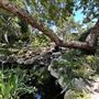 Storrier Stearns Japanese Garden