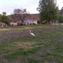 Cal Poly Pomona Campus South / RSI Pomona