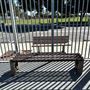 Hemingway Park - City of Carson