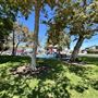 Calas Park - City of Carson