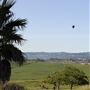 Bees Rock Ranch