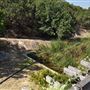California State Polytechnic University, Pomona - Cal Poly Pomona