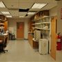 California State Polytechnic University, Pomona - Cal Poly Pomona