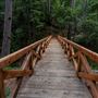 Portola Redwoods State Park (SP)