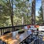 Twin Peaks Mountain Cabin
