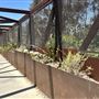 Mark Ridley Thomas Bridge located Kenneth Hahn State Recreational Area (SRA)