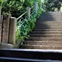 Filbert Steps