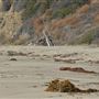 El Pescador State Beach @ Robert H. Meyer Memorial State Beach (SB) - CFC