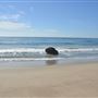 El Pescador State Beach @ Robert H. Meyer Memorial State Beach (SB) - CFC