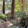 Descanso Gardens