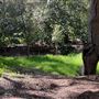 Descanso Gardens