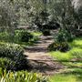 Descanso Gardens