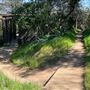 Descanso Gardens