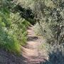 Descanso Gardens