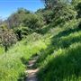 Descanso Gardens