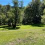 Descanso Gardens