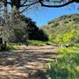 Descanso Gardens