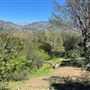 Descanso Gardens