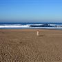Ocean Beach