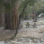 Crystal Lake Recreation Area / Campground - Angeles National Forest