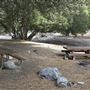 Crystal Lake Recreation Area / Campground - Angeles National Forest