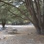 Crystal Lake Recreation Area / Campground - Angeles National Forest
