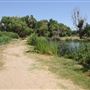 Mojave Narrows Regional Park