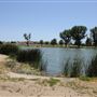 Mojave Narrows Regional Park