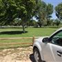 Mojave Narrows Regional Park