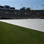 Rose Bowl Stadium