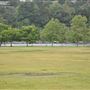 Rose Bowl Stadium