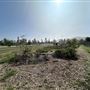 Rio de Los Angeles State Park (SP) - Taylor Yard - Inter Agency - LA City Parks & CA State Parks