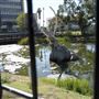 La Brea Tar Pits - George Page Museum