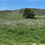 Big Sky Movie Ranch