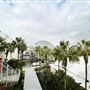 Los Angeles County Museum of Art (LACMA)