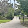 La Brea Tar Pits - George Page Museum